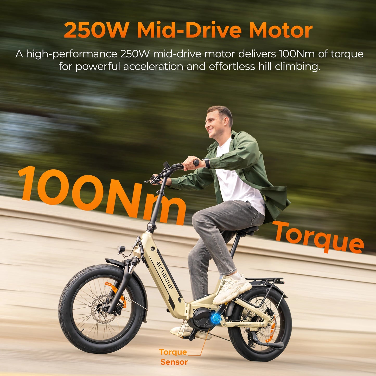 ENGWE L20 3.0 Pro Fat Tire Electric Bicycle