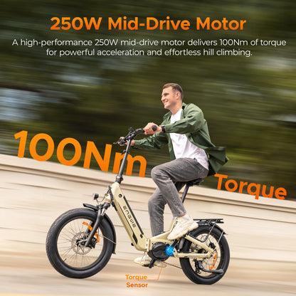 ENGWE L20 3.0 Pro Fat Tire Electric Bicycle