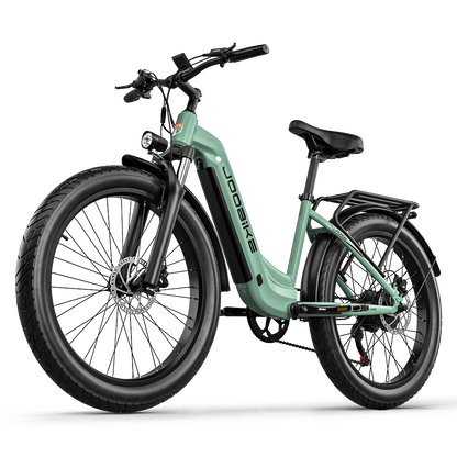 JOOBIKE JOO1 Electric Bike 1000W 48V 17.5Ah E-Mountain Bike